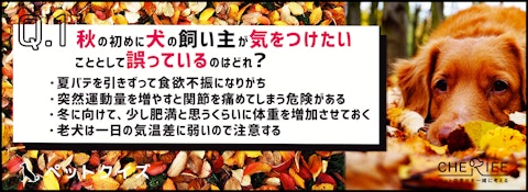 【犬クイズ】秋は体調を崩しやすい？飼い主が注意すべきことのアイキャッチ画像