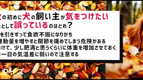 【犬クイズ】秋は体調を崩しやすい?飼い主が注意すべきことのアイキャッチ画像
