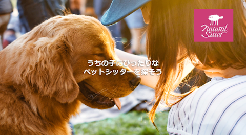 新会社るりら、”うちの子にぴったり” をインターネットで 手配できるペットシッターサービス 「ナチュラルシッター(natural sitter)」提供開始のお知らせのアイキャッチ画像