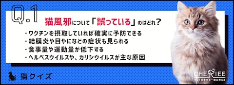 【猫クイズ】室内飼いでも秋は要注意！猫の体調管理は飼い主の役目のアイキャッチ画像