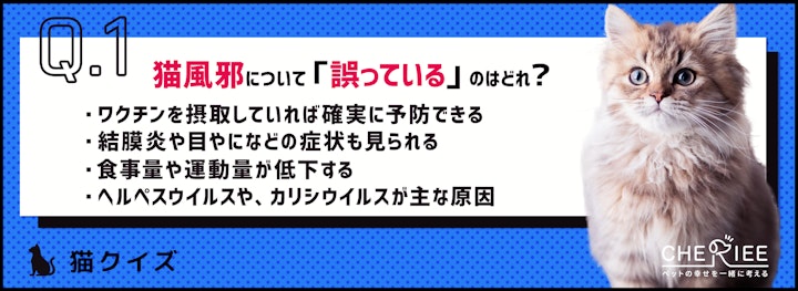 【猫クイズ】室内飼いでも秋は要注意！猫の体調管理は飼い主の役目のアイキャッチ画像