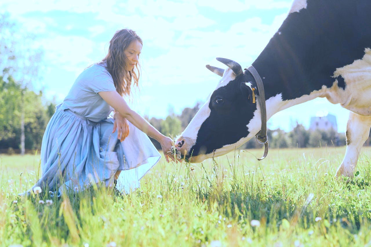 世界で増える畜産動物の楽園「ファーム・サンクチュアリ」とは？