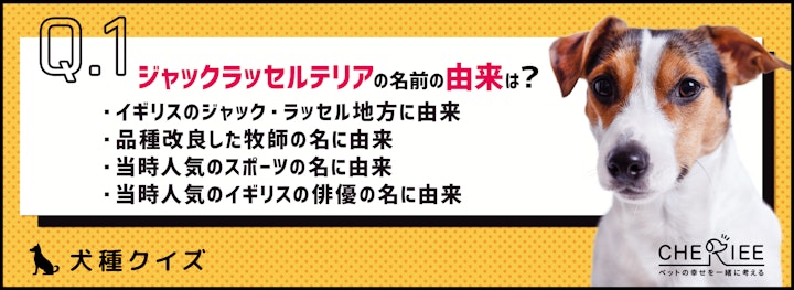 【犬種クイズ】映画によく登場するジャックラッセルテリアの雑学のアイキャッチ画像