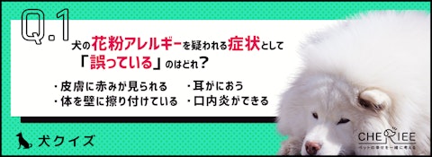 【クイズ】秋も要注意！犬にも欠かせない花粉症の対策法のアイキャッチ画像