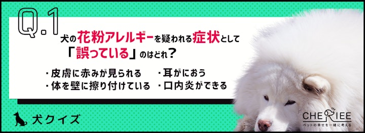 【クイズ】秋も要注意！犬にも欠かせない花粉症の対策法のアイキャッチ画像