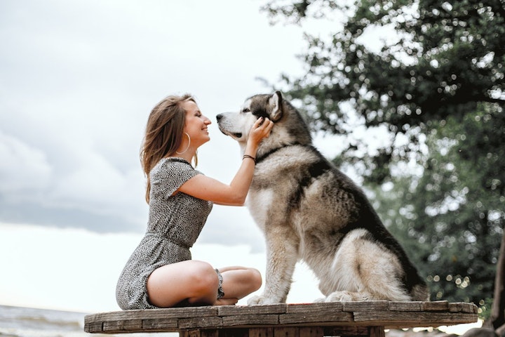 犬　嘔吐　病気　吐く　感染症