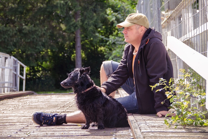 獣医師監修 愛犬の歩き方がおかしい 見逃せない歩様異常とは シェリー Goo ニュース