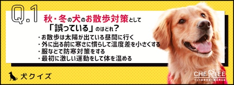 【クイズ】秋・冬の犬のお散歩で気をつけたいポイントとは？のアイキャッチ画像