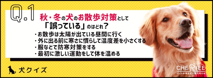 【クイズ】秋・冬の犬のお散歩で気をつけたいポイントとは？のアイキャッチ画像