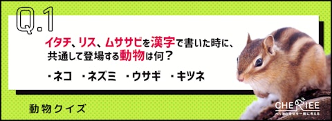 「海豚」は何の動物？読み方が難しい動物の漢字表記クイズのアイキャッチ画像