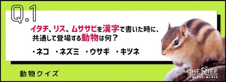 「海豚」は何の動物？読み方が難しい動物の漢字表記クイズのアイキャッチ画像