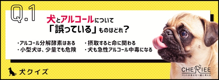 【犬クイズ】犬にアルコールは厳禁！お正月は特に気をつけてのアイキャッチ画像