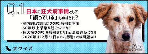 【クイズ】今年も忘れず接種しましたか？狂犬病ワクチンクイズのアイキャッチ画像