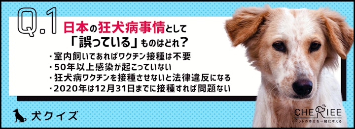 【クイズ】今年も忘れず接種しましたか？狂犬病ワクチンクイズのアイキャッチ画像