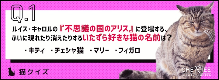 【雑学】猫好きなら満点？猫が登場する文学作品クイズのアイキャッチ画像