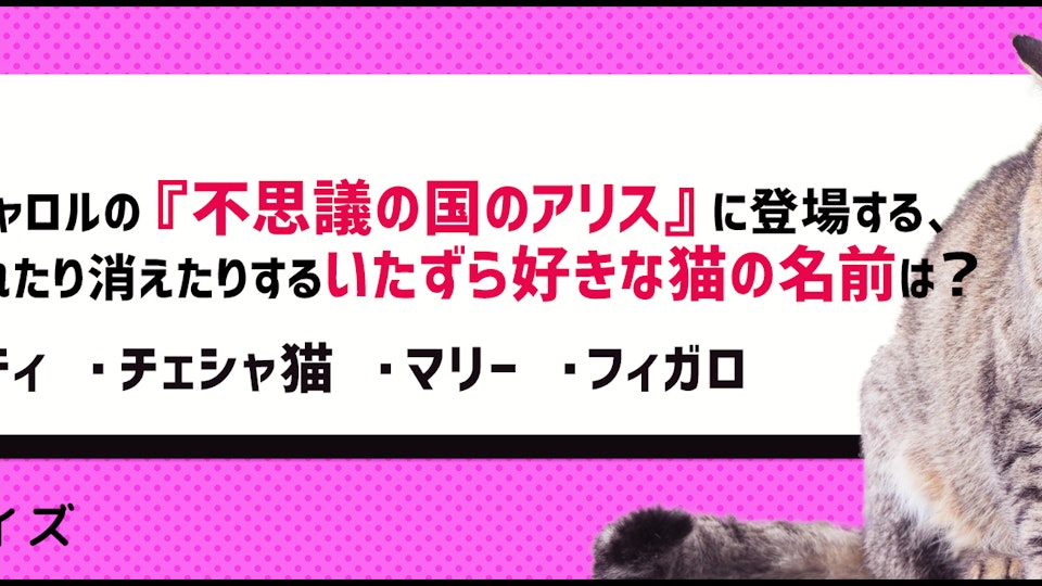 【雑学】猫好きなら満点?猫が登場する文学作品クイズ