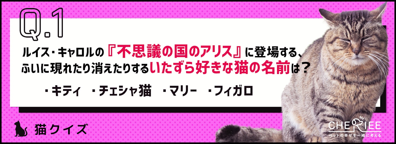 雑学 猫好きなら満点 猫が登場する文学作品クイズ シェリー ペットの幸せを一緒に考える