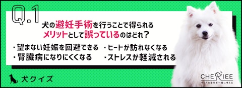 【クイズ】犬の避妊・去勢手術のメリットとデメリットのアイキャッチ画像