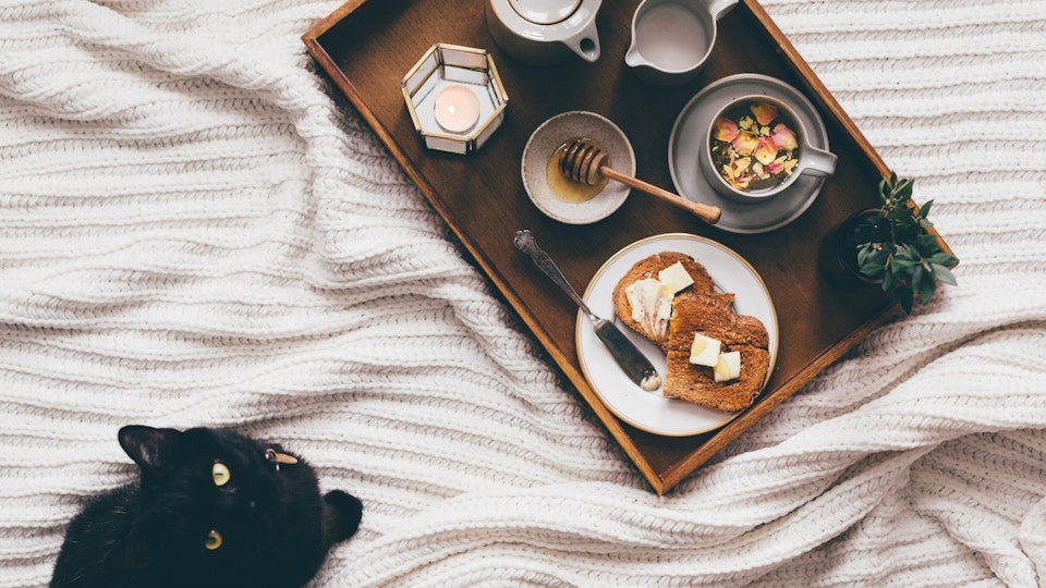 【獣医師監修】犬・猫の慢性腎臓病にオススメな食事管理のポイント