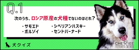 【クイズ】愛犬の理解が深まるかも？犬の原産国クイズのアイキャッチ画像