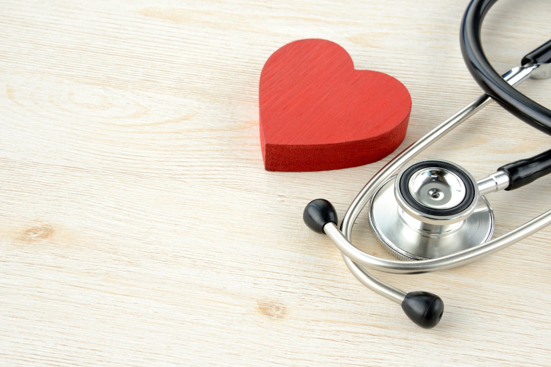 【獣医師監修】セカンドオピニオンや転院の際に準備するものと注意点