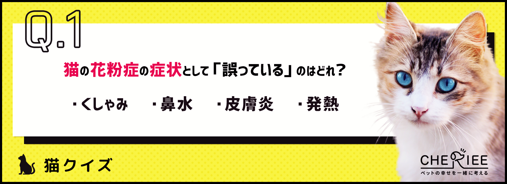 【クイズ】ちゃんと対策してる？この時期に気をつけたい猫の花粉症