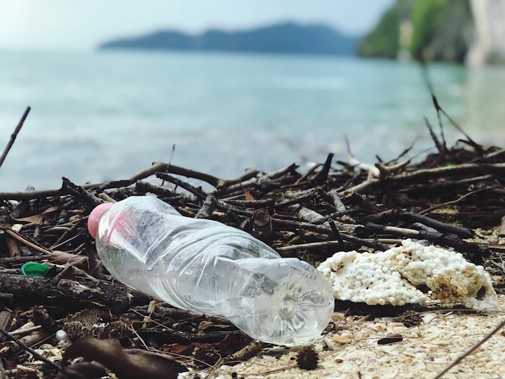 プラスチック,ゴミ,犬,うんち,捨て方,レジ袋,生分解性,バイオプラスチック