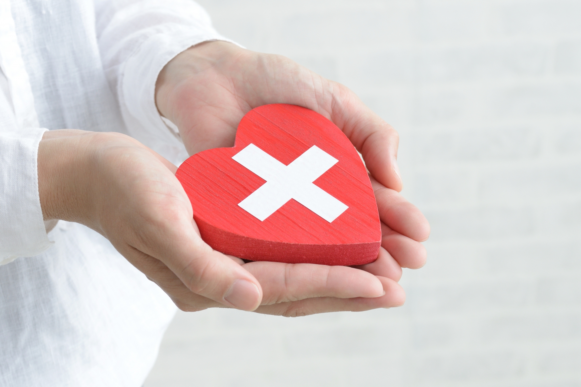 【獣医師監修】看板犬には重要な役割がある？動物病院での輸血の話