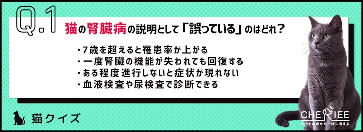 【猫クイズ】早期発見がカギ！猫の腎臓病クイズのアイキャッチ画像