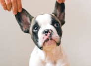 記事カテゴリ第2位