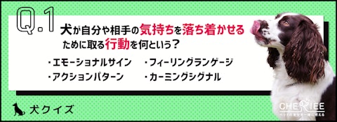 【犬クイズ】口や鼻を舐めるのはなぜ？意外と知らない犬の行動理由のアイキャッチ画像