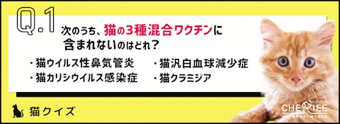 【猫クイズ】猫のワクチンの重要性を再確認しよう！のアイキャッチ画像