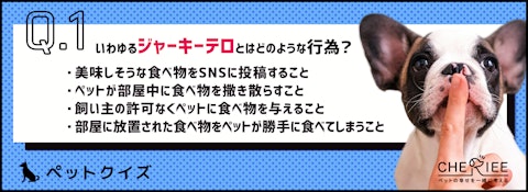 【クイズ】ペットを飼っていない人こそ知りたい！ジャーキーテロの恐怖のアイキャッチ画像