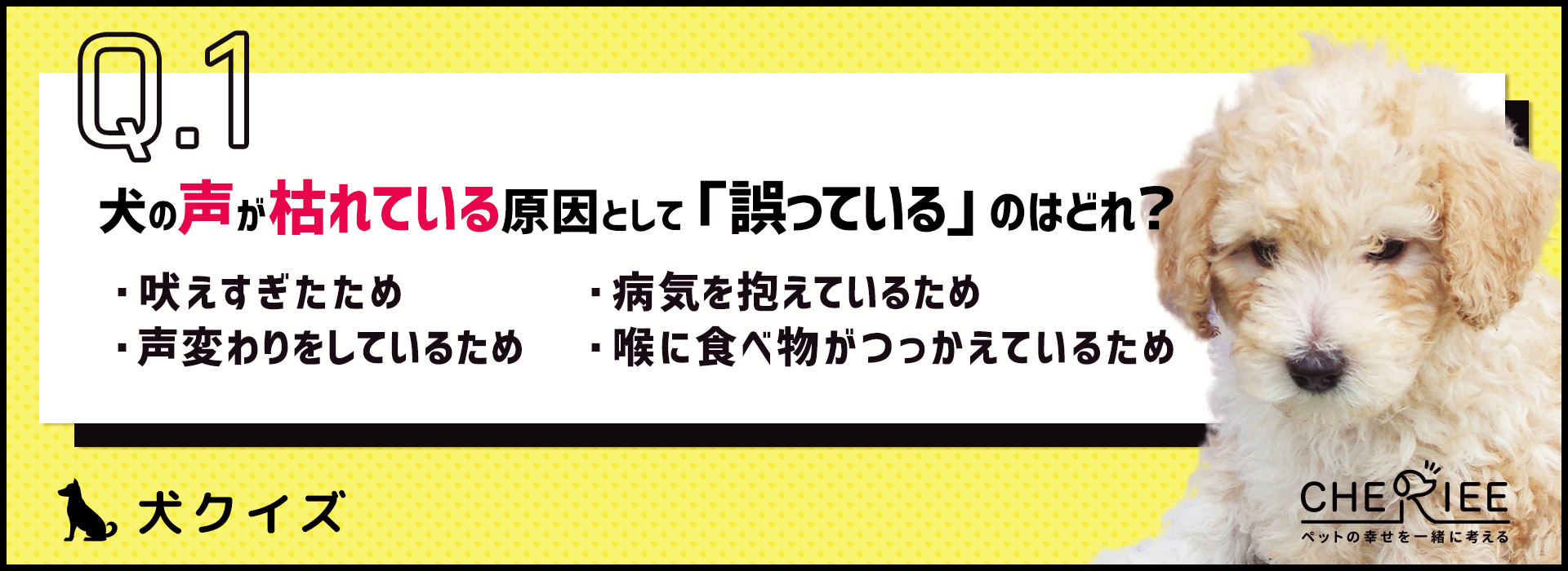 【犬クイズ】声が枯れている？考えられる理由と注意したい病気とは