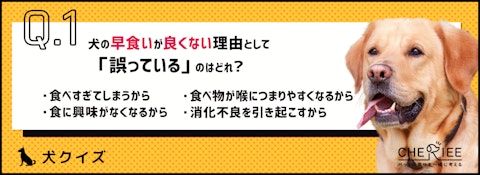 【クイズ】犬の早食いが良くない理由とは。病気を引き起こす可能性も！のアイキャッチ画像