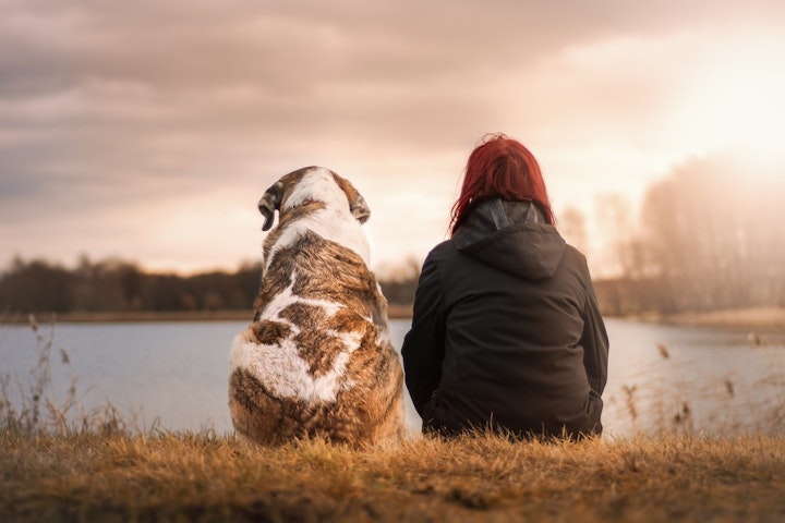 犬,顔,表情,性格,似る,飼い主,実験,調査,エンタメ