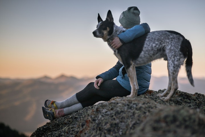 犬,顔,表情,性格,似る,飼い主,実験,調査,エンタメ