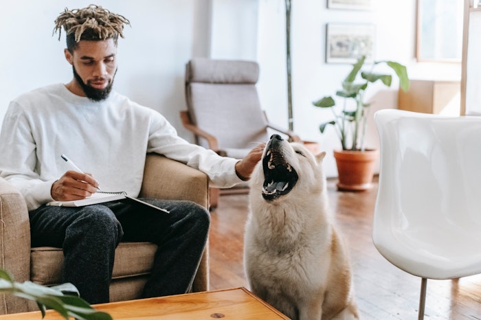 犬,顔,表情,性格,似る,飼い主,実験,調査,エンタメ