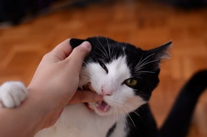 Shuxlawjubzv5m Shuxlawjubzv5m