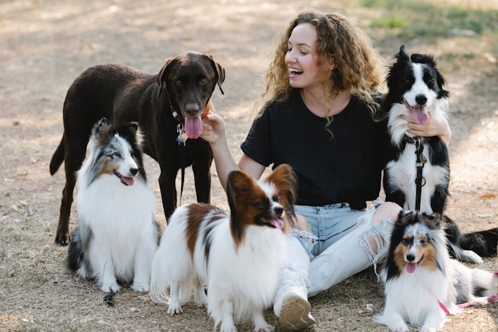 犬,問題行動,幸せ,犬らしい行動,子犬,犬種,