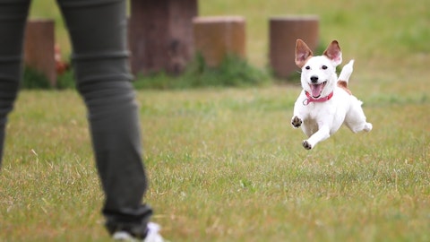 【6/23開催】本当に知ってる?目から鱗の子犬が幸せになる飼い方のアイキャッチ画像