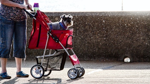 ペットカートのメリットとは？愛犬に合った選び方と注意点もご紹介のアイキャッチ画像