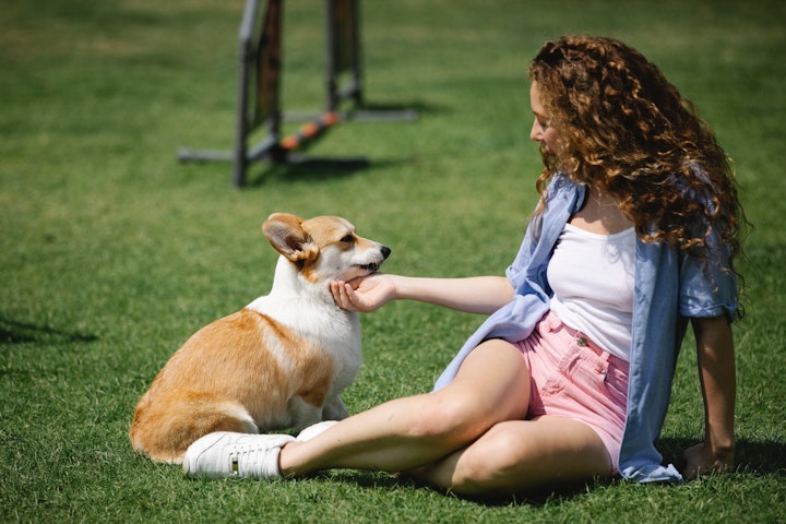 犬,ペットカート,メリット,注意点