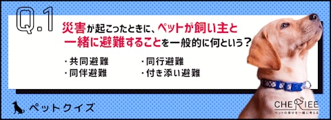 【ペットクイズ】改めて確認を！災害時に飼い主がとるべき行動とは？のアイキャッチ画像