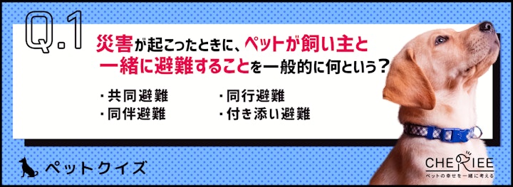 【ペットクイズ】改めて確認を！災害時に飼い主がとるべき行動とは？のアイキャッチ画像