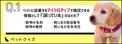 【ペットクイズ】マイクロチップは装着すべき？得られるメリットとはのアイキャッチ画像