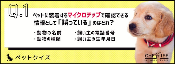 【ペットクイズ】マイクロチップは装着すべき？得られるメリットとはのアイキャッチ画像