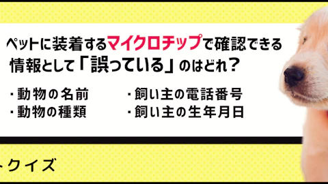 【ペットクイズ】マイクロチップは装着すべき?得られるメリットとはのアイキャッチ画像