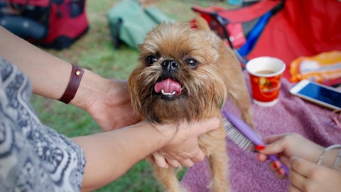 犬の換毛期ってなに?お手入れ方法と抜け毛の便利グッズをご紹介のアイキャッチ画像