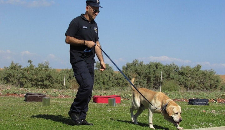 災害救助犬,犬,警察犬,犬種,土砂災害,地震